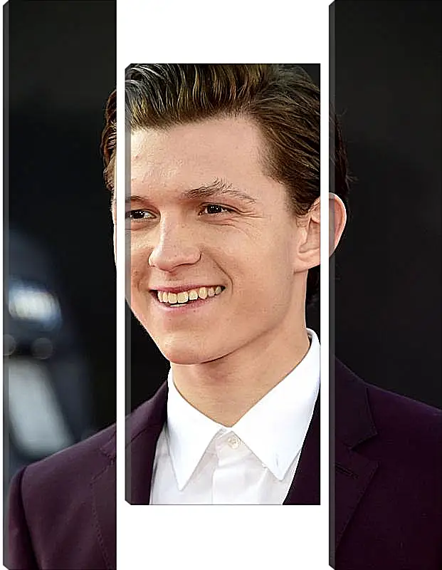 Модульная картина - Том Холланд. Tom Holland