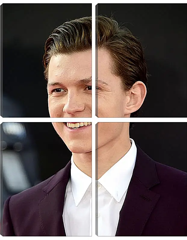 Модульная картина - Том Холланд. Tom Holland