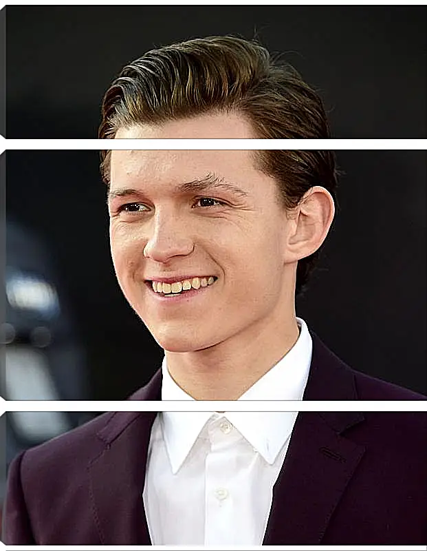 Модульная картина - Том Холланд. Tom Holland