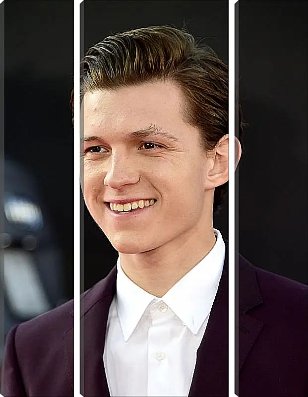 Модульная картина - Том Холланд. Tom Holland