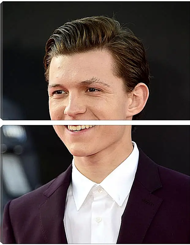 Модульная картина - Том Холланд. Tom Holland