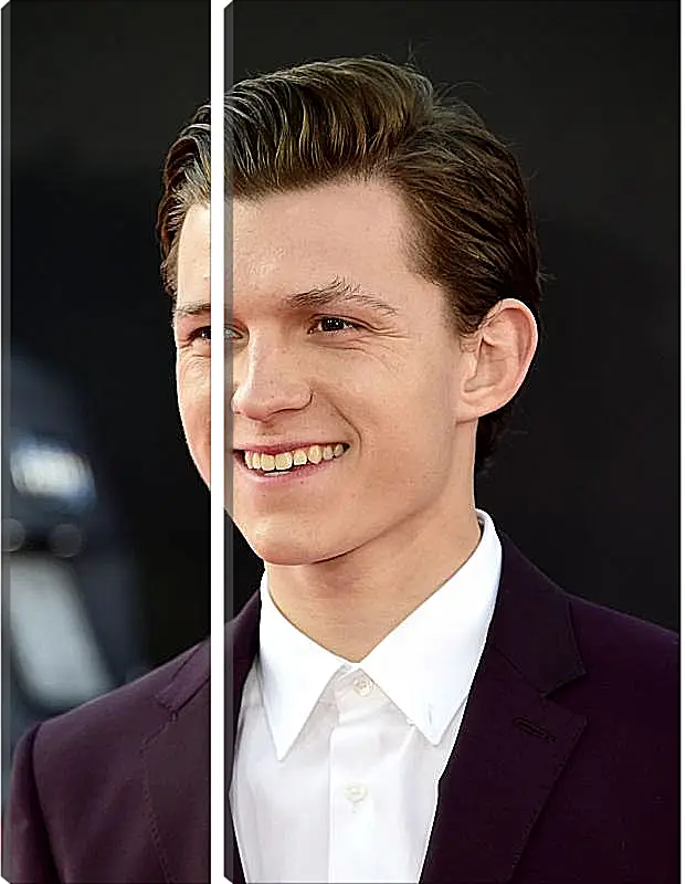 Модульная картина - Том Холланд. Tom Holland