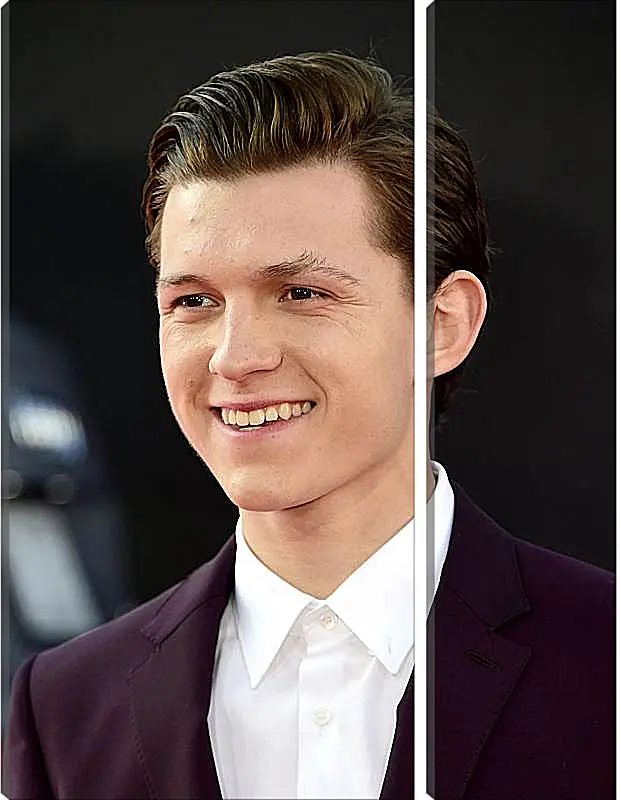 Модульная картина - Том Холланд. Tom Holland