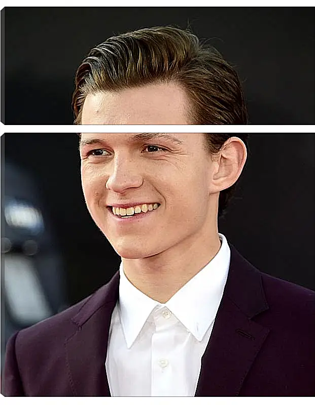 Модульная картина - Том Холланд. Tom Holland