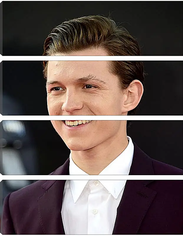 Модульная картина - Том Холланд. Tom Holland