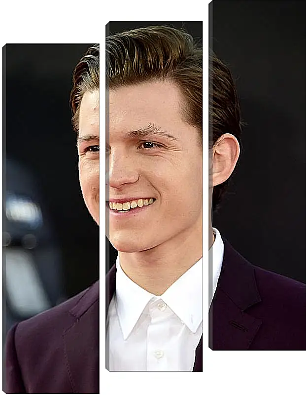 Модульная картина - Том Холланд. Tom Holland