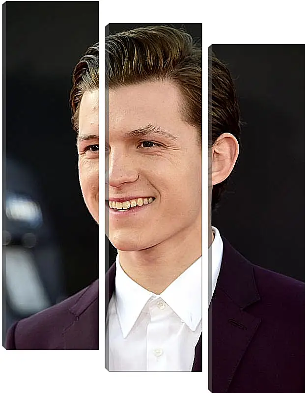 Модульная картина - Том Холланд. Tom Holland