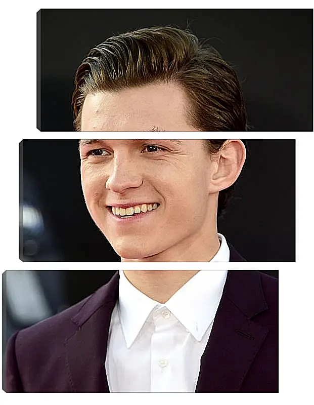 Модульная картина - Том Холланд. Tom Holland