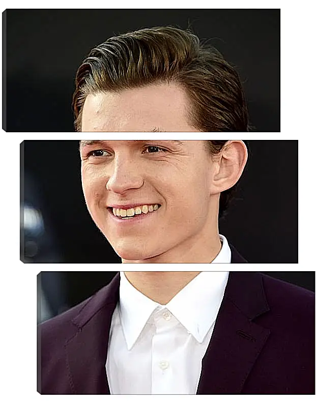 Модульная картина - Том Холланд. Tom Holland