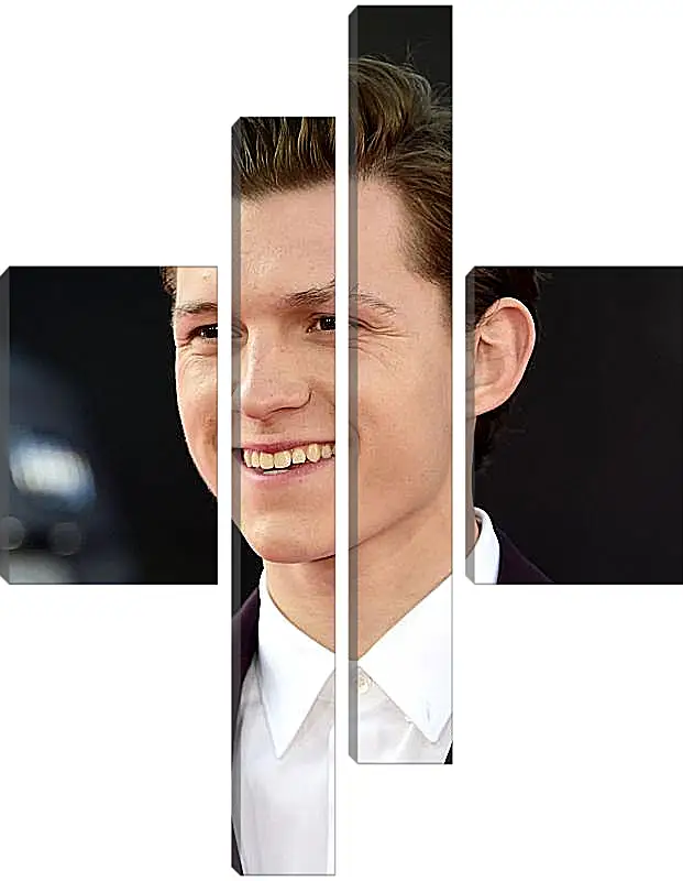 Модульная картина - Том Холланд. Tom Holland