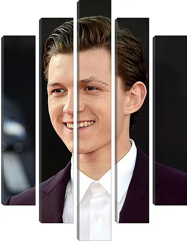 Модульная картина - Том Холланд. Tom Holland