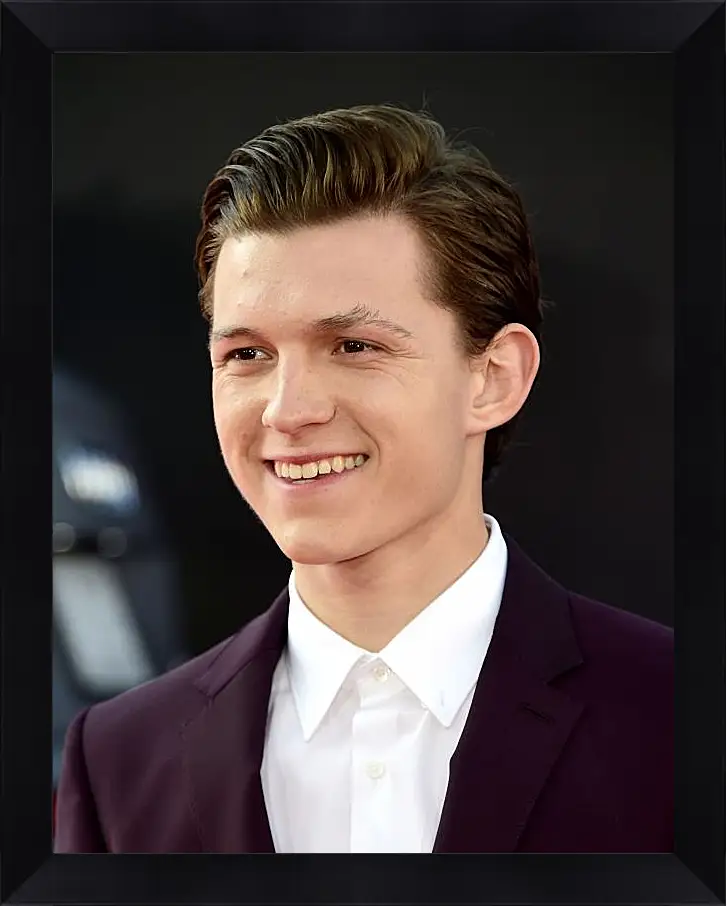 Картина в раме - Том Холланд. Tom Holland