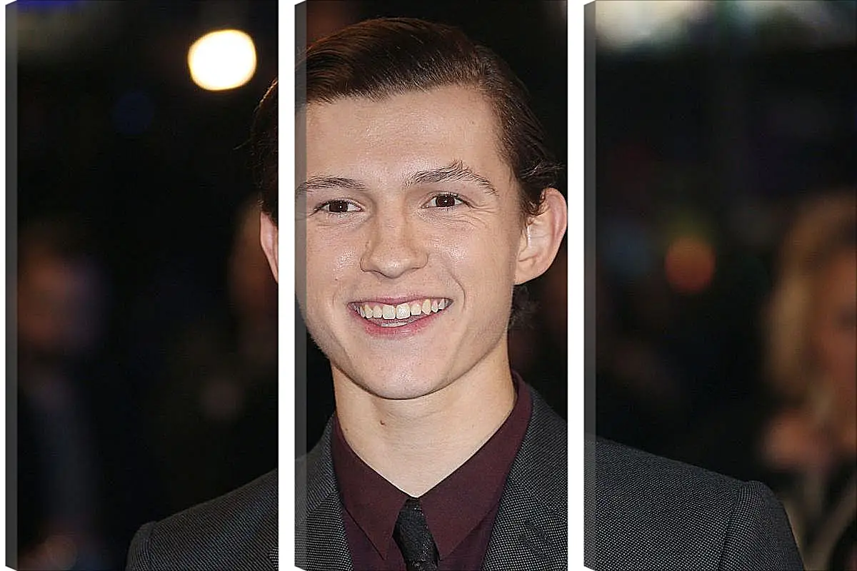 Модульная картина - Том Холланд. Tom Holland