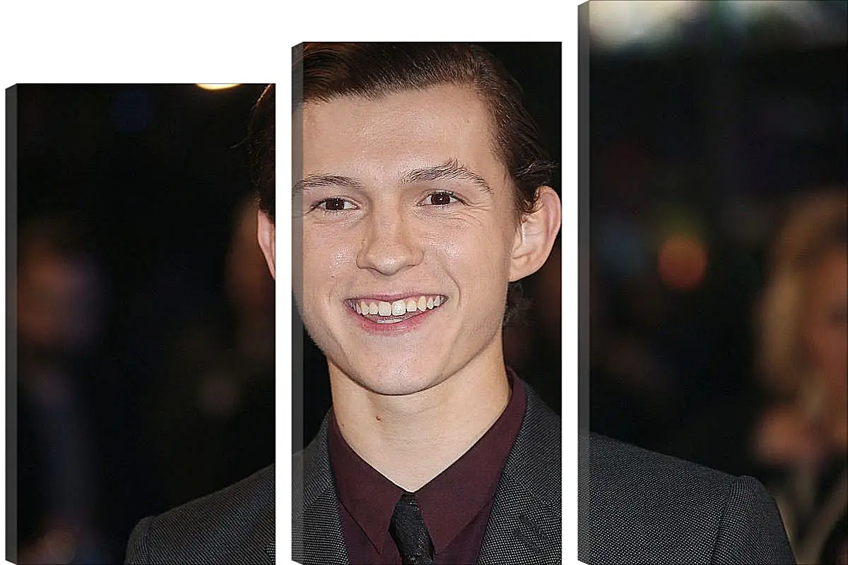 Модульная картина - Том Холланд. Tom Holland