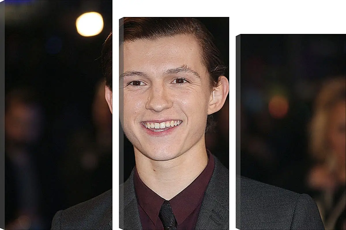 Модульная картина - Том Холланд. Tom Holland