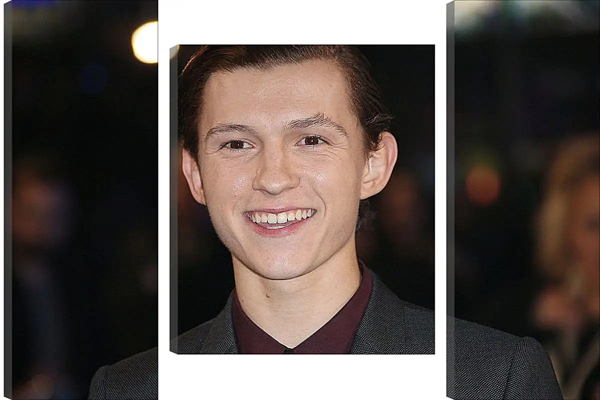 Модульная картина - Том Холланд. Tom Holland