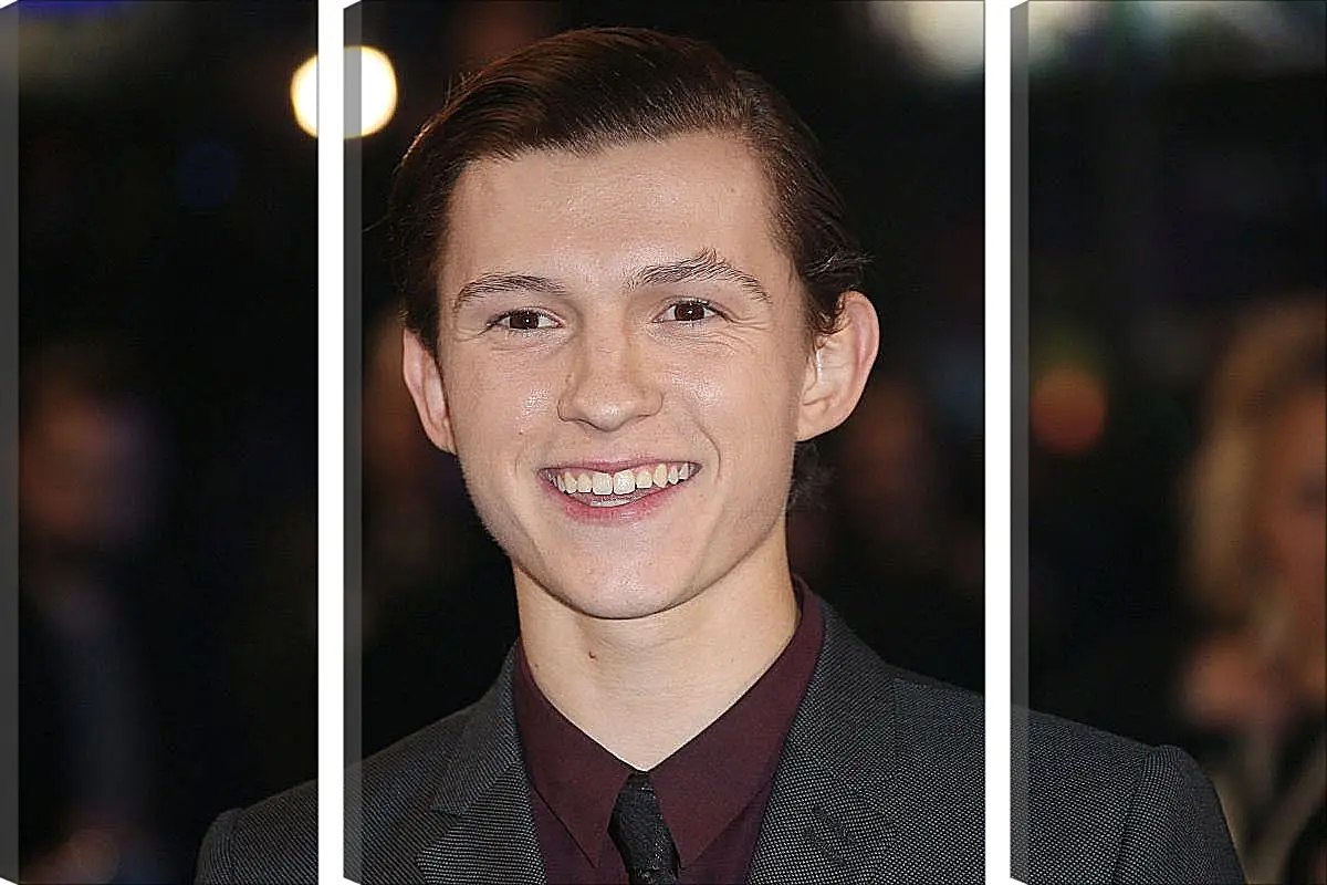 Модульная картина - Том Холланд. Tom Holland