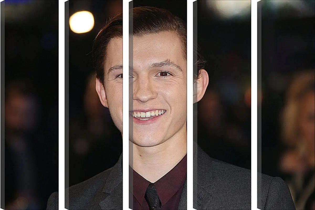 Модульная картина - Том Холланд. Tom Holland