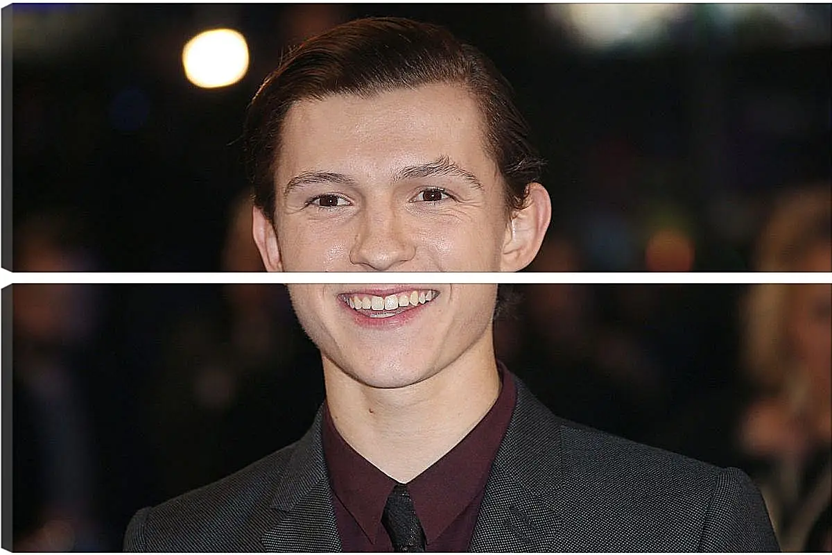 Модульная картина - Том Холланд. Tom Holland