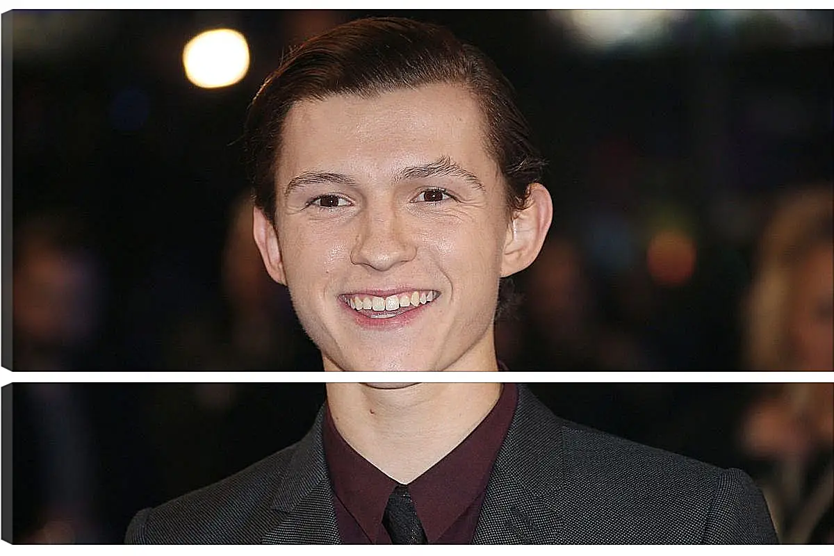 Модульная картина - Том Холланд. Tom Holland