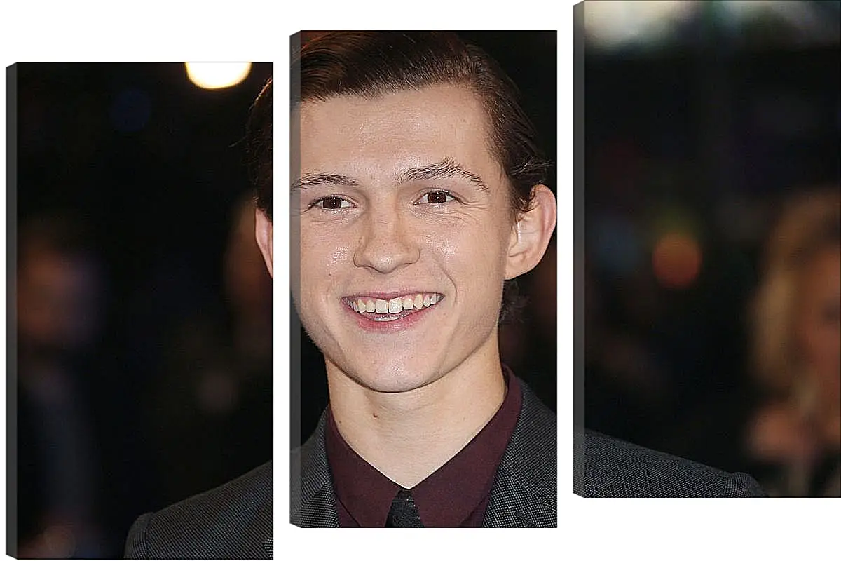 Модульная картина - Том Холланд. Tom Holland