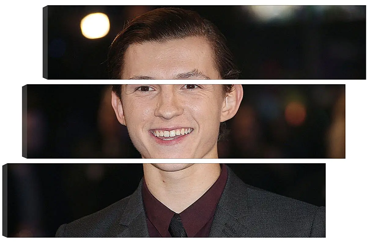 Модульная картина - Том Холланд. Tom Holland