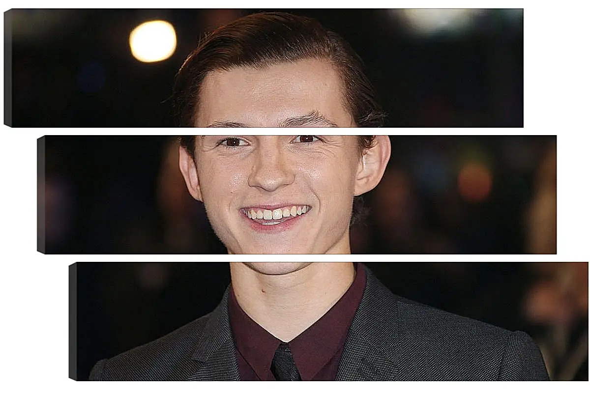 Модульная картина - Том Холланд. Tom Holland