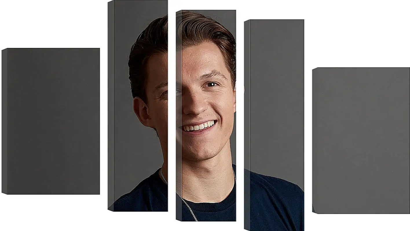 Модульная картина - Том Холланд. Tom Holland