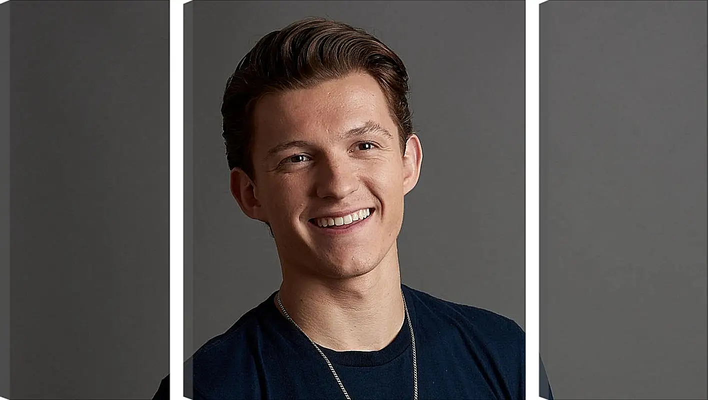 Модульная картина - Том Холланд. Tom Holland