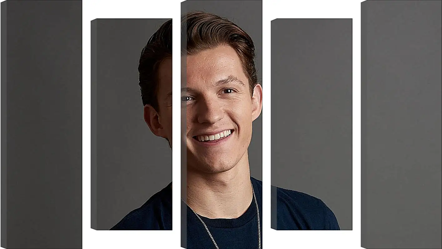 Модульная картина - Том Холланд. Tom Holland