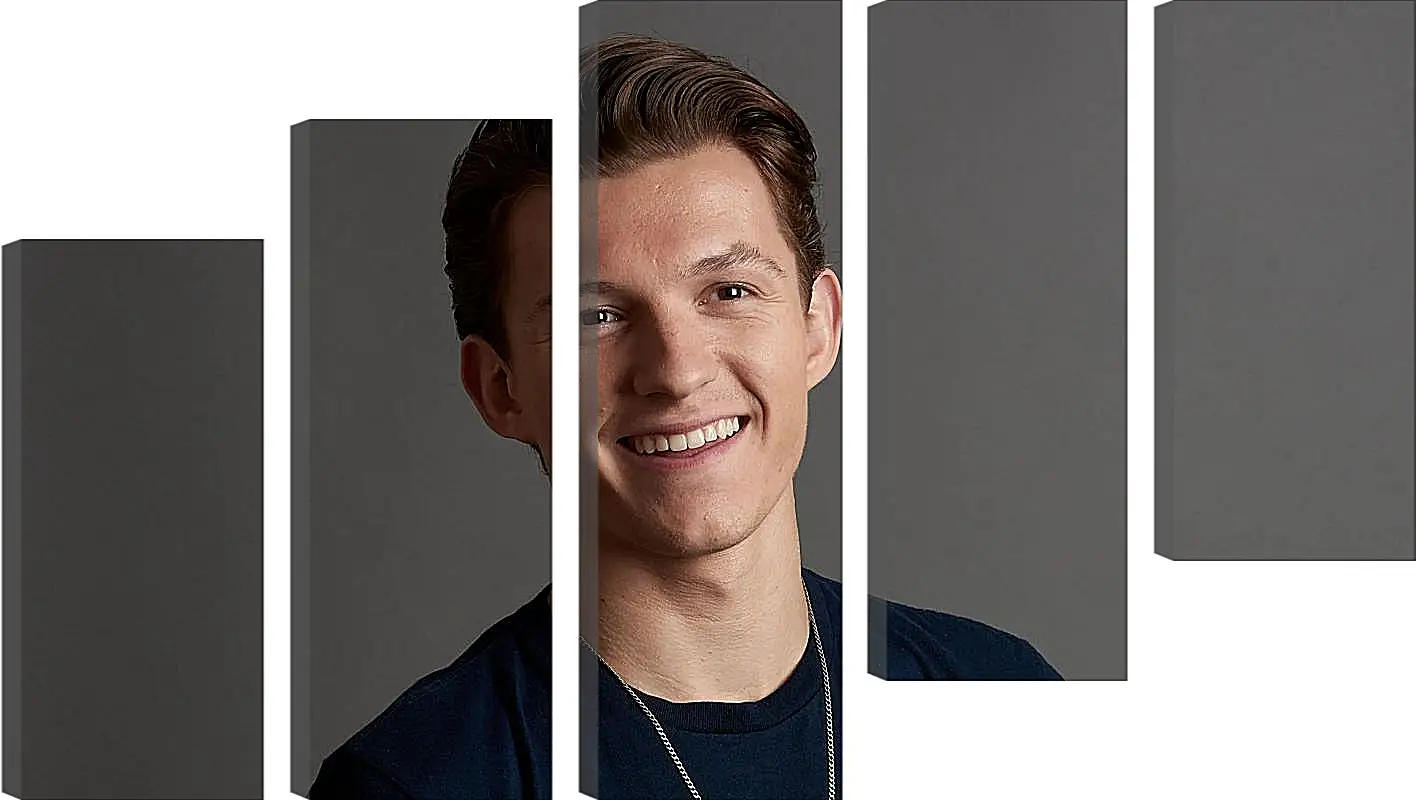 Модульная картина - Том Холланд. Tom Holland