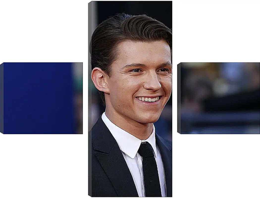 Модульная картина - Том Холланд. Tom Holland