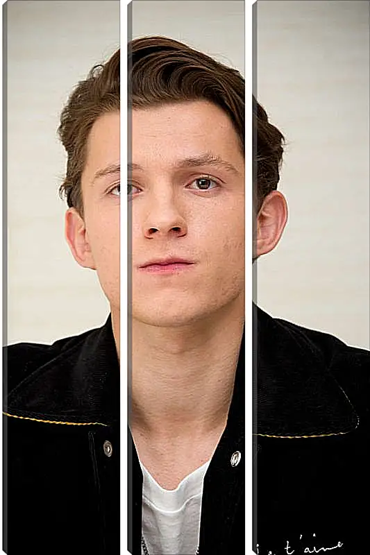 Модульная картина - Том Холланд. Tom Holland