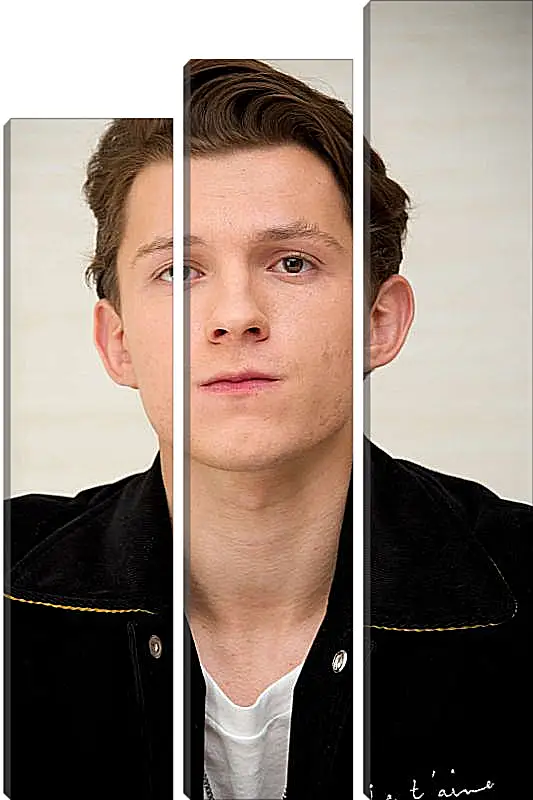 Модульная картина - Том Холланд. Tom Holland