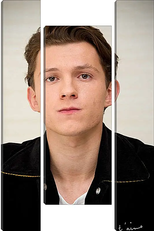 Модульная картина - Том Холланд. Tom Holland