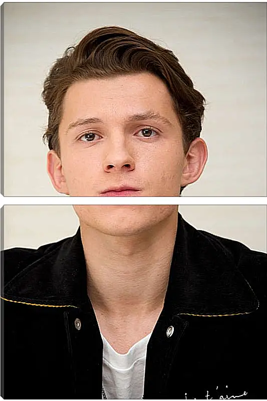 Модульная картина - Том Холланд. Tom Holland