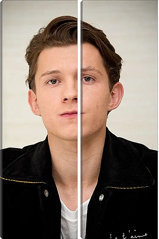 Модульная картина - Том Холланд. Tom Holland