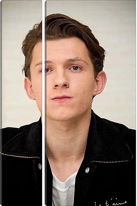 Модульная картина - Том Холланд. Tom Holland