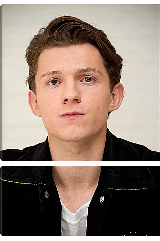 Модульная картина - Том Холланд. Tom Holland
