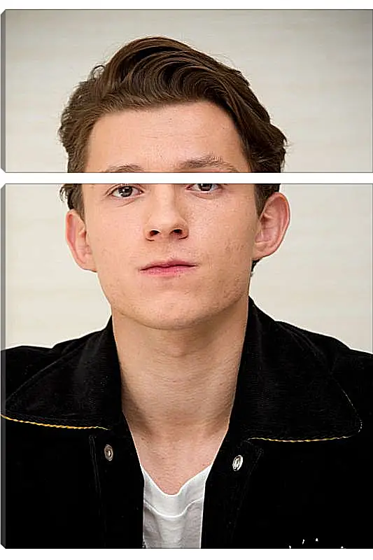 Модульная картина - Том Холланд. Tom Holland