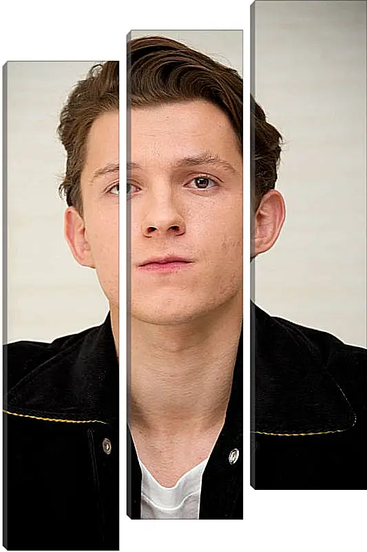 Модульная картина - Том Холланд. Tom Holland