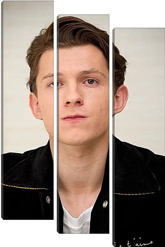 Модульная картина - Том Холланд. Tom Holland