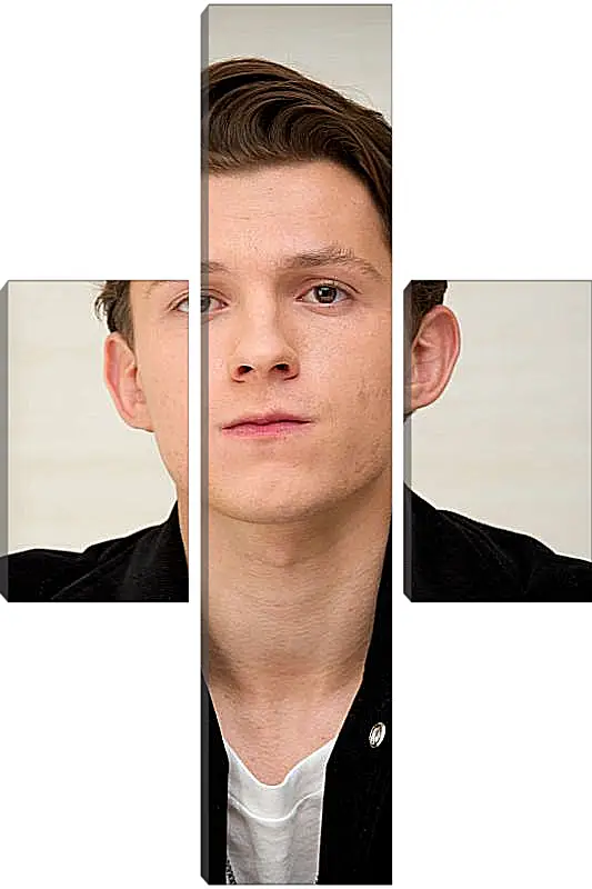 Модульная картина - Том Холланд. Tom Holland