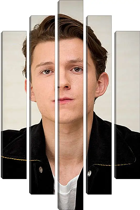 Модульная картина - Том Холланд. Tom Holland