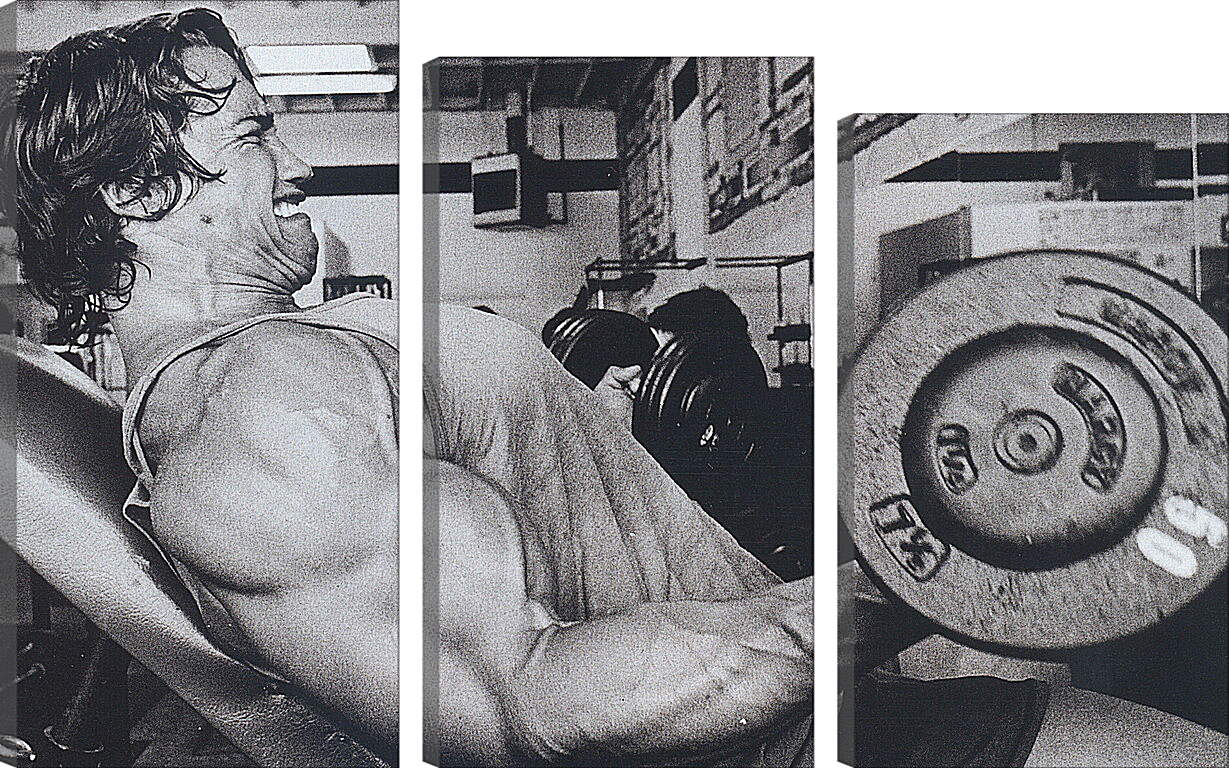 Arnold Schwarzenegger Armstrong