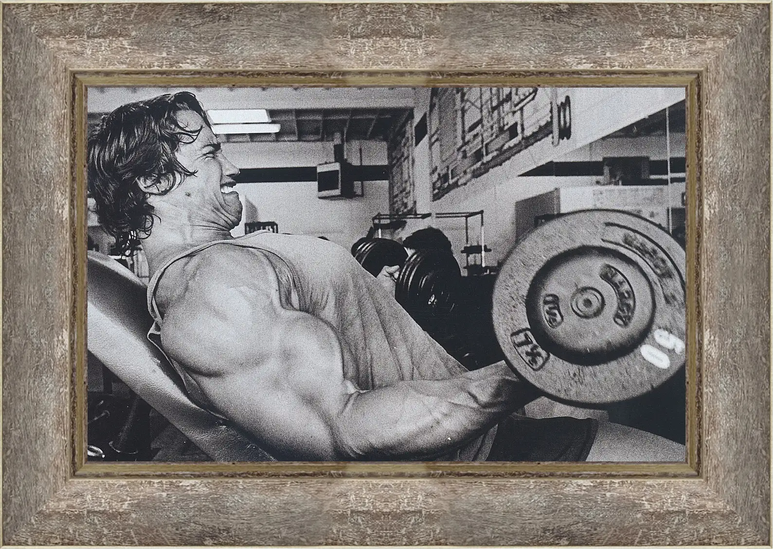 Картина в раме - Шварценеггер Арнольд (Arnold Schwarzenegger)