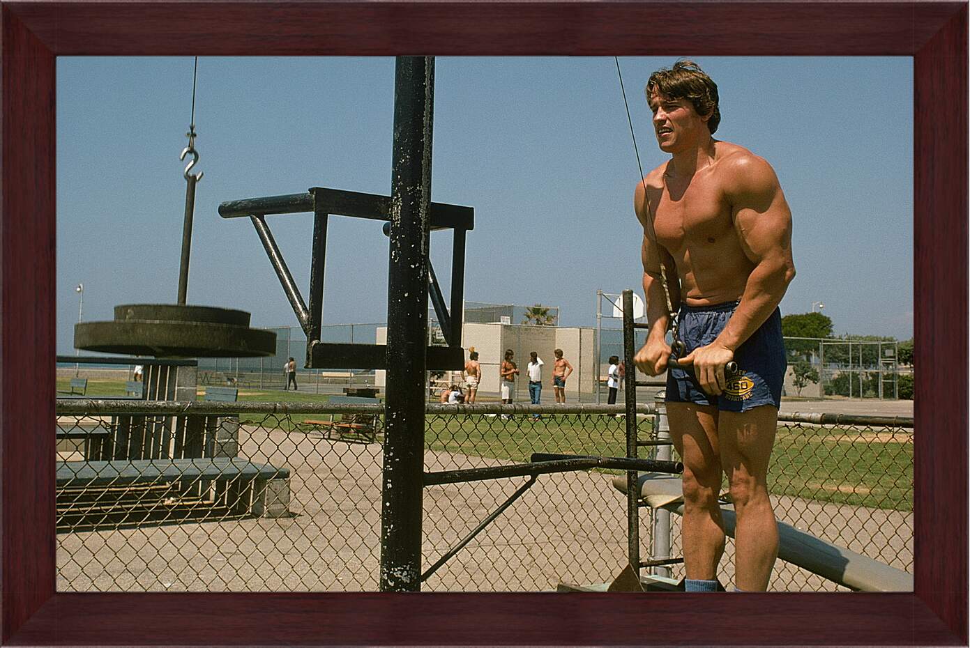 Картина в раме - Шварценеггер Арнольд (Arnold Schwarzenegger)