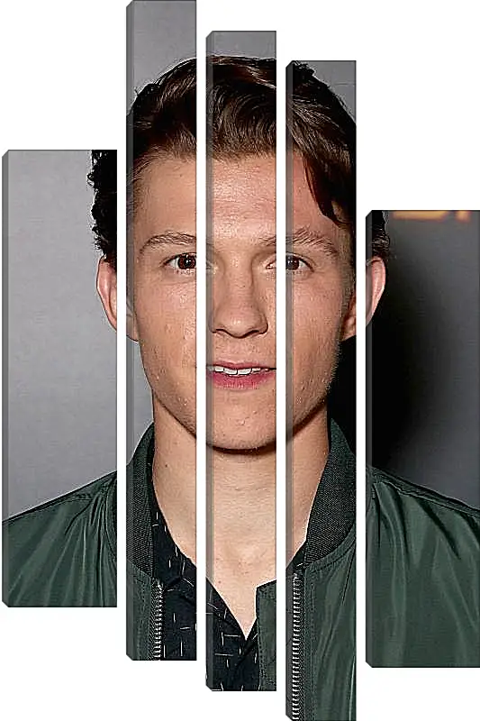 Модульная картина - Том Холланд. Tom Holland