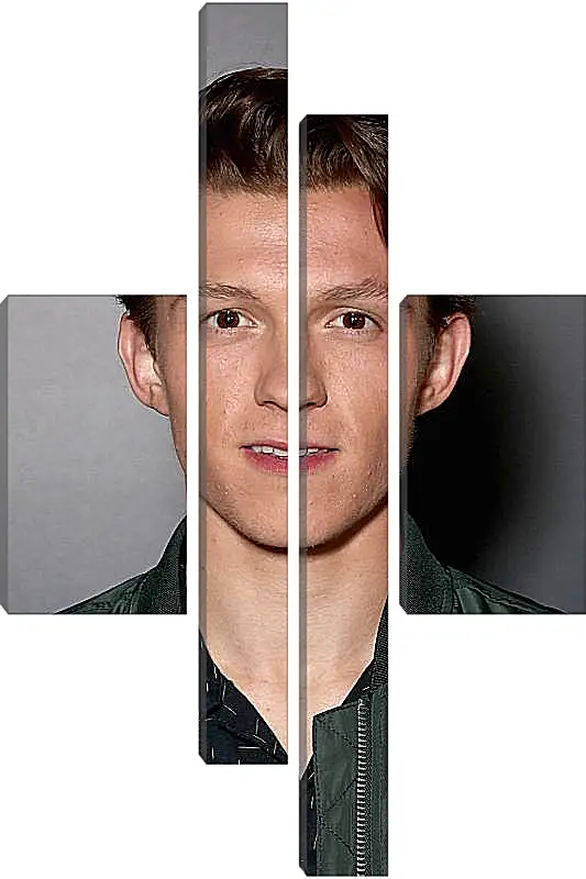 Модульная картина - Том Холланд. Tom Holland