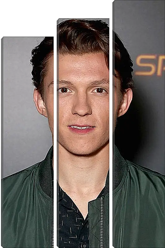 Модульная картина - Том Холланд. Tom Holland